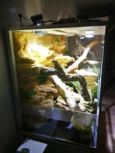Terrarium 150x70x90 inkl. Schrank, Rückwand Beleuchtung
