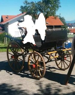 Antike Kutsche Pferdekutsche