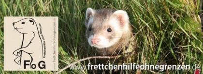 Frettchen gesucht