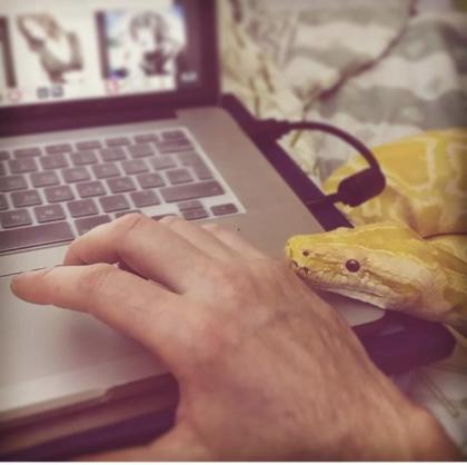 Python wegen Umzug nach Bayern abzugeben.
