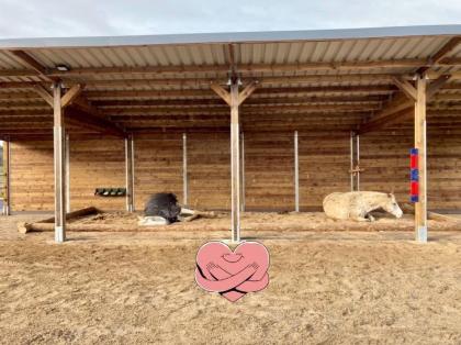 Pferdeunterstand Top Weidehütten Offenstall bauen, Laufstall für Pferde - Perfekter Pferdehof
