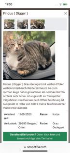 KATER FINDUS BELOHNUNG ERHÖHT 500 Euro GESUCHT WALDHOF