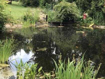 Auffangstation für Wasserschildkröten