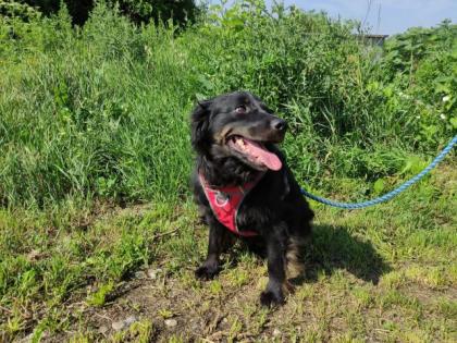DJ Bobo. liebt es im Garten zu laufen