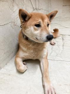 Imako sucht ein Traumzuhause