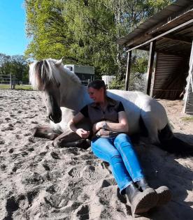 Offenstall Quickborn kleine Herde Stallplatz Haltergemeinschaft