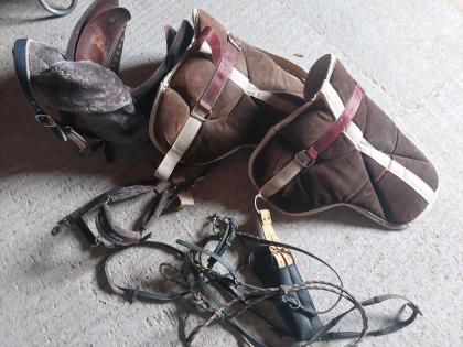 Pferdesattel, Halfter, gebisslose Trense, Pads.