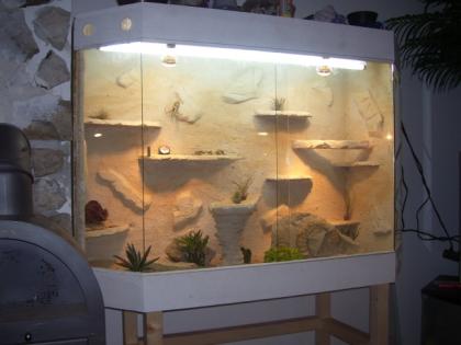 Neue Terrarien Saugünstig