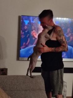 Don Sphynx Kater
