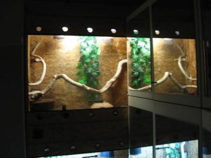 Holz Terrarium H x B x T 200 x 120 x 43 cm