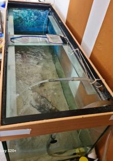 Aquarium mit und ohne Zubehör