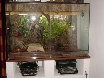 Terrarium Vollglas