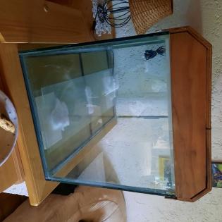 Aquarium mit Pumpe und Zubehör