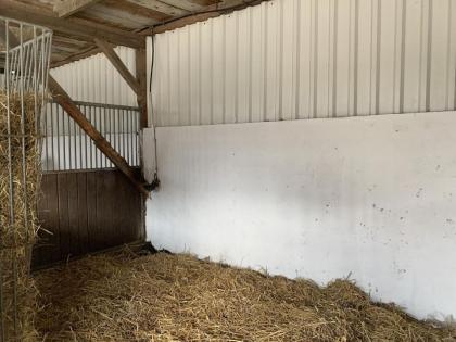 Pferdeboxen/ Außenboxen/ Stallplätze frei