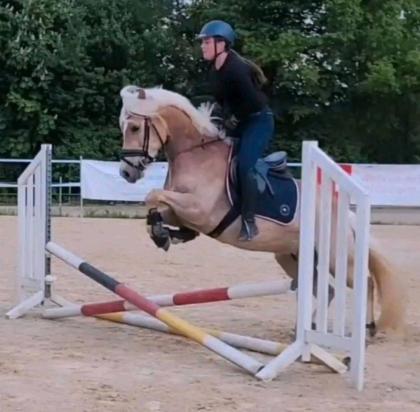 Suche Amb. RB für jungen Sporthaflinger