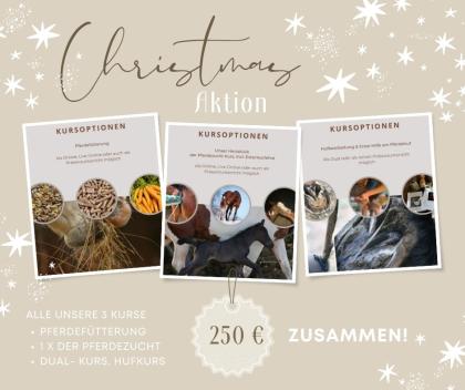 Kurse Rund ums Pferd - Weihnachtsaktion