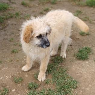 Fido / Status reserviert