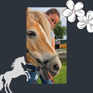Tierphysiotherapie