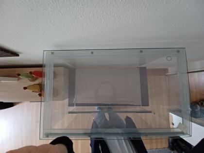 Glasterrarium kaum benutzt