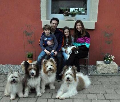 Familienhund Elo - Welpen von Werths Echte Ende 2021.
