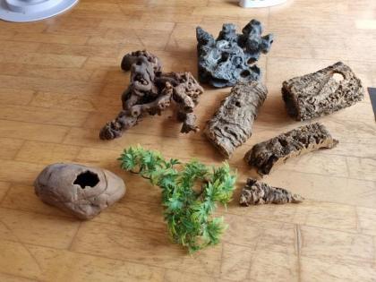 Terrarium mit Zubehör und Kornnatter zu verkaufen