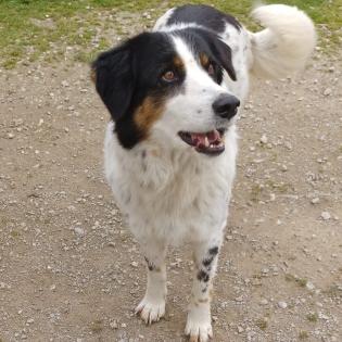Margarita / Status sucht ein Zuhause