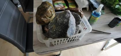 Terrarium mit Unterschrank und 3 leopardgeckos