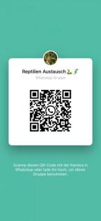 Reptilien WhatsApp Gruppe