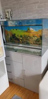 Glasterrarium 120 x 50 x 60 BxTxH