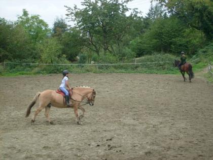 Dringend Reitbeteiligung gesucht