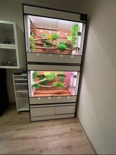 -20 auf Premium Kunststoff Terrarien und Terrarium Racks