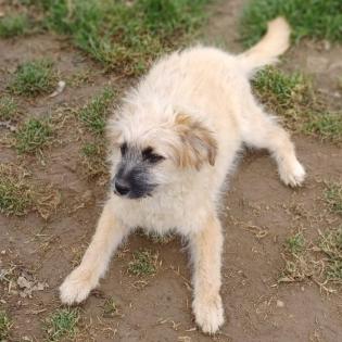 Fido / Status reserviert