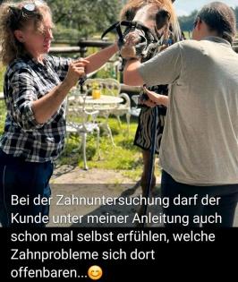 Hufpflege für eure edlen Rösser