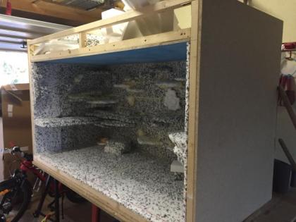 OSB MDF Terrarium 177x73x103