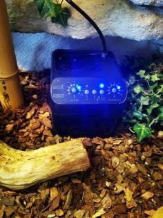 Terrarium