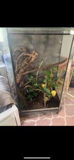 Terrarium für Echsen, Chamäleon etc