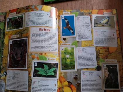 Unser Wald Waldbuch Tierbuch Kinderbuch Stickerbuch w. NEU
