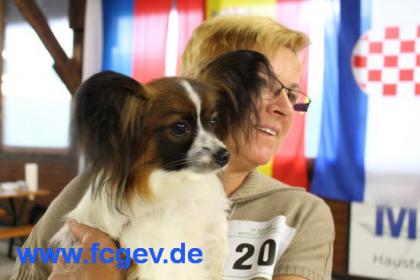 Rasse Mischlings-Hundeschau CAC Landessiegerschau in Ruppertsweiler 1. März