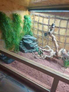 Terrarium 120x60x60