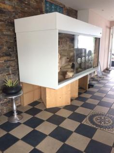 Terrarium im guten Zustand