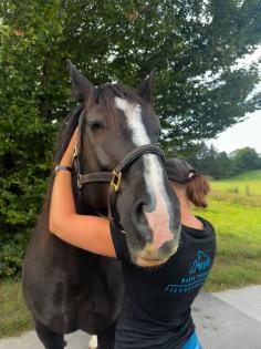 Tierosteopathie, Tierphysiotherapie, Tierakupunktur