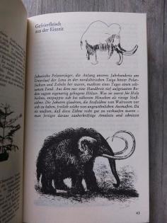 Die Urwelt lebt dtv Junior Tierbuch Urzeit Pflanzenbjch Natur
