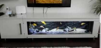 2 sehr schöne Aquarien viel Zubehör