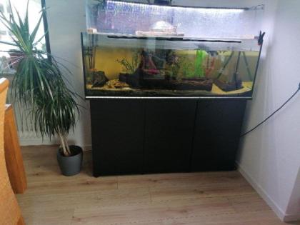 Neues Juwel Rio 450 mit 2 Wasserschildkröten zu verschenken im Allgäu