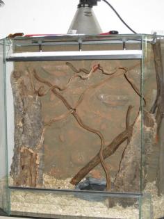 Panorama - Terrarium B80 x T40 x H 80 mit Einrichtung, Rückwand und Technik