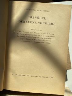 Konvolut Tierbücher Vögel, Raubvögel, Kein Ei gleicht dem anderen