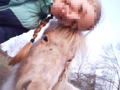 Suche Reitbeteiligung Mensch sucht
