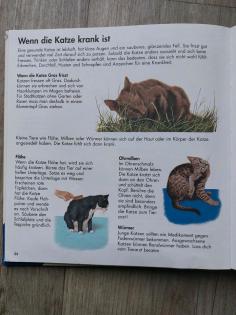 Alles was ich wissen will Tierbuch Ravensburger Natur Tiere