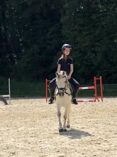 Reitbeteiligung in Wuppertal an einem Freizeitpferd gesucht
