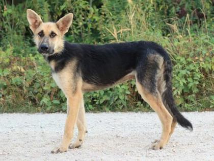Godfrey. freut sich auf seine Familie